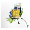 Phyto 7 Elixir Coffret nutrition et brillance 100 ml