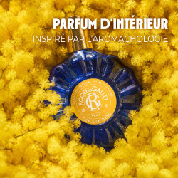 Roger&Gallet Coucouning Parfum d’intérieur 100 ml