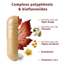 Valebio Circulation 30 gélules