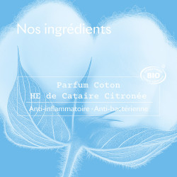 Sanoflore Déodorant Coton 24H Roll-on 50 ml