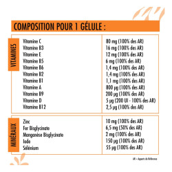 Nutrivie Multivitamines 30 gélules