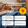 Zesty Paws Diffuseur apaisant chat kit de démarrage 30 ml