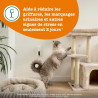 Zesty Paws Diffuseur apaisant chat kit de démarrage 30 ml